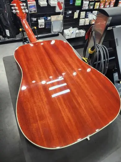 Epiphone - EEHBFCNH 2